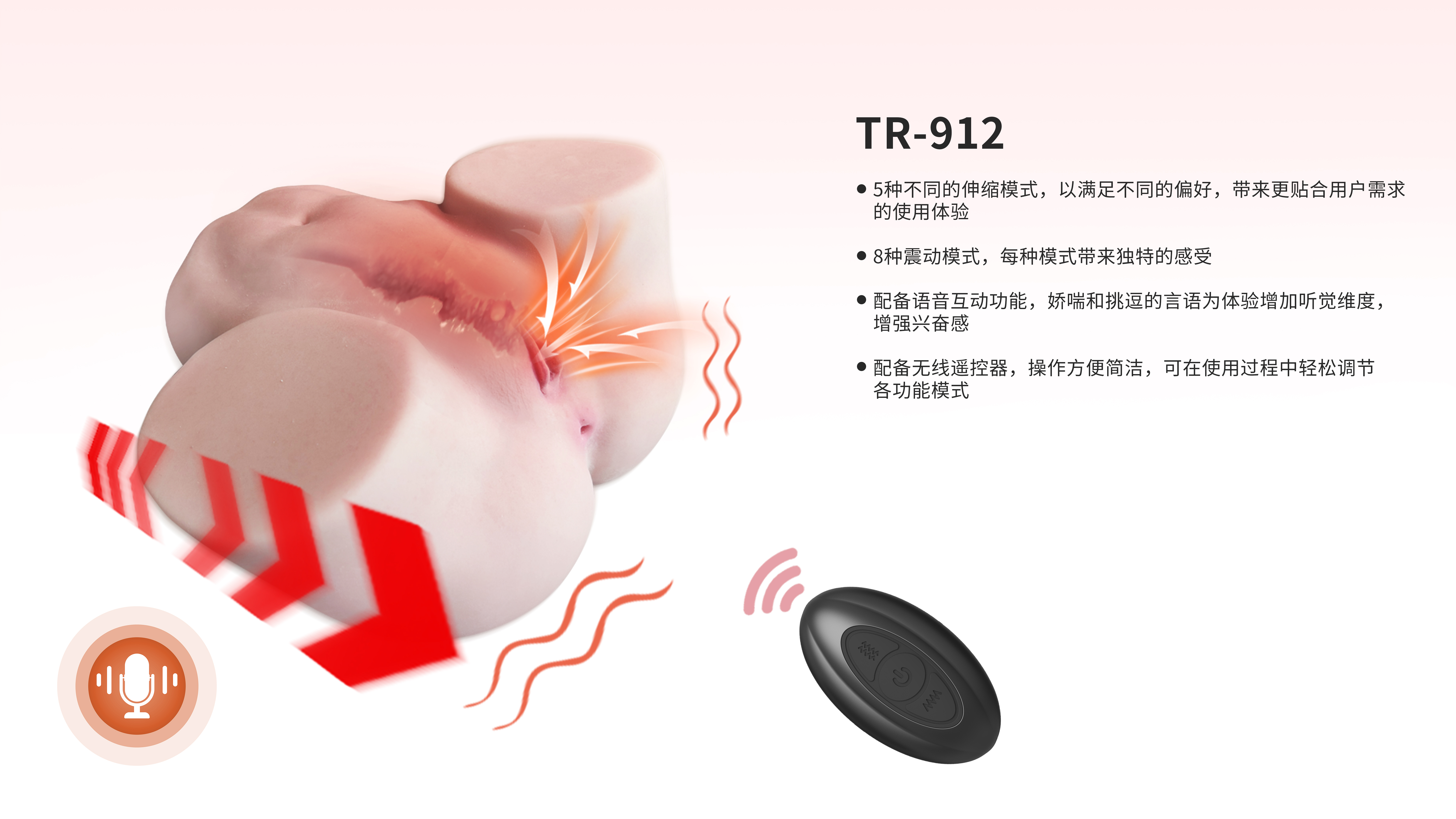 TR-912(图2)