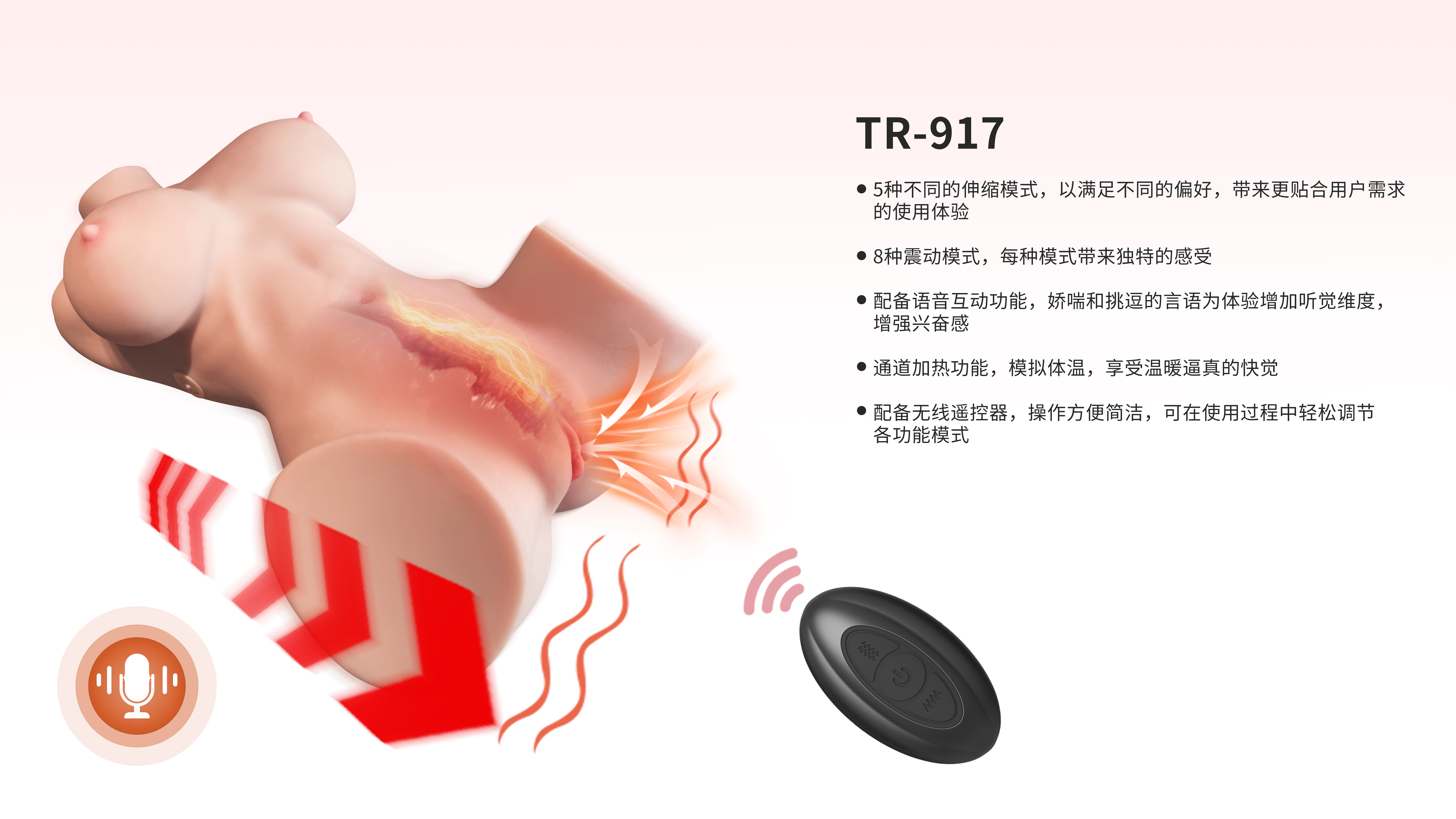 TR-917(图2)